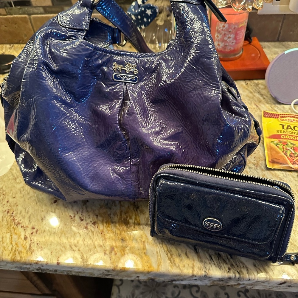 Coach Blue Shoulder Bag and Wallet with Textured Finish